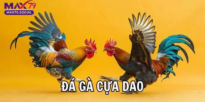 Tổng Quan Về Đá Gà Cựa Dao Max79