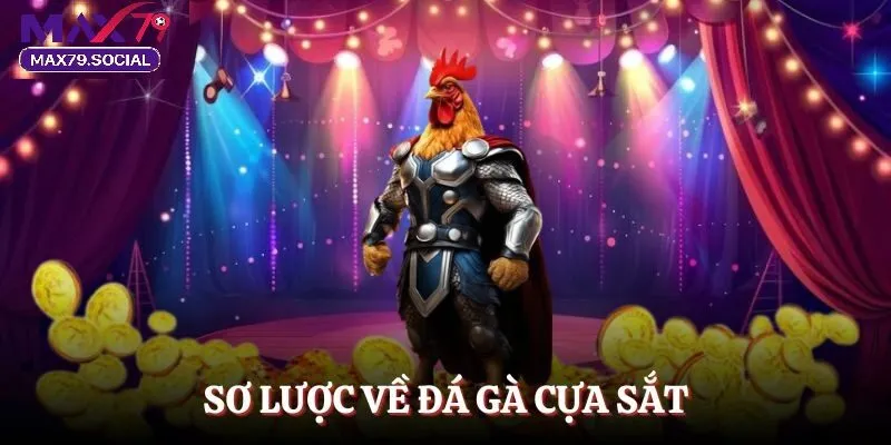 Quy Trình Thiết Kế Một Trận Đá Gà