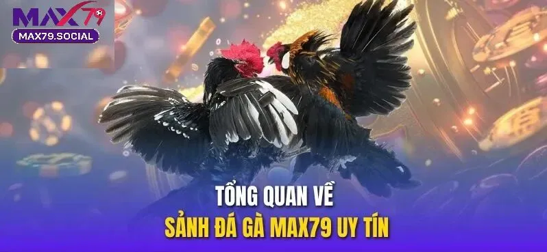 Thiên đường đá gà trực tuyến tại Max79