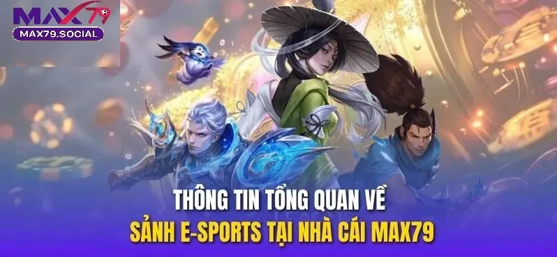 Chi tiết các nhà phát hành thể thao đang hợp tác với Max79